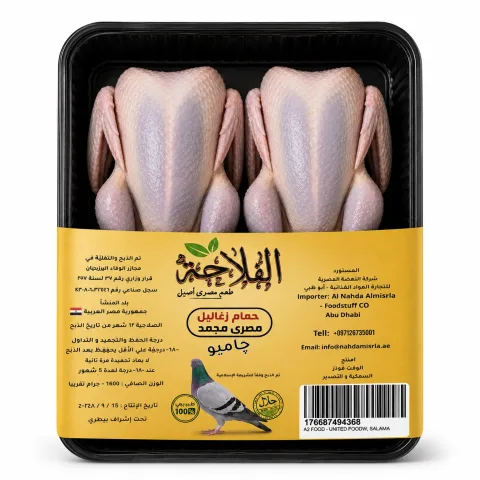 Falaha Pigeon Jumbo 600g