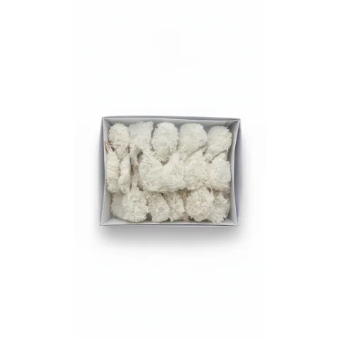 GSF Breaded Butterfly Shrimp 21-25 1kg