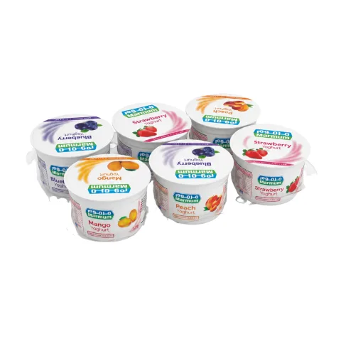 Fruit Yoghurt Mango 6 x 125g Murmum