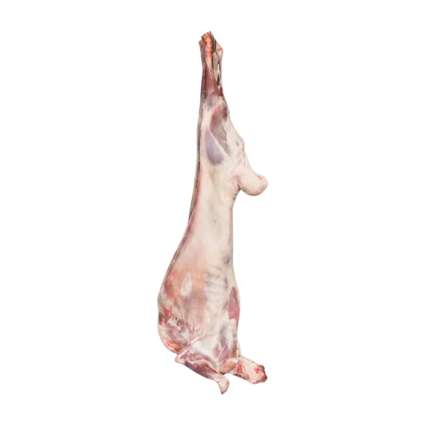 Fresh Lamb Whole Local
