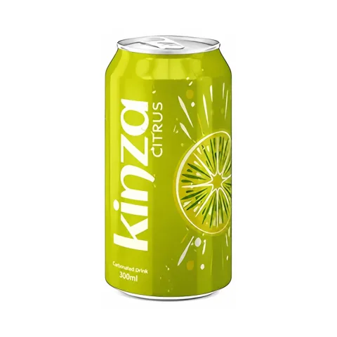 Kinza Citrus Soft Drink 300ml
